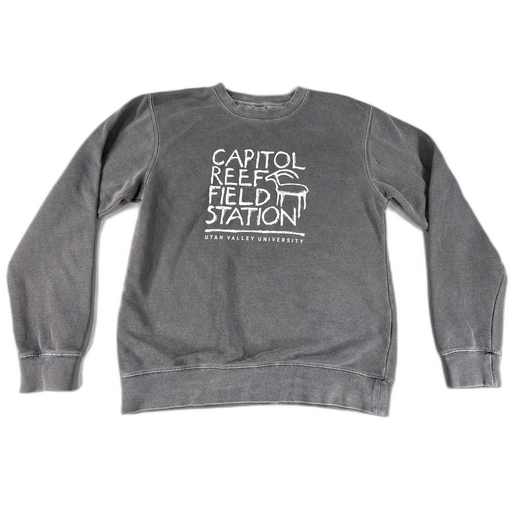 Independent Trading Company Capitol Reef Field Station Sweatshirt S Gray Cotton‎